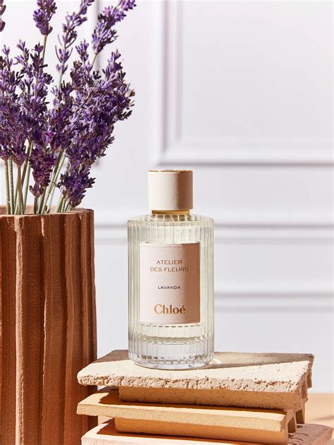 chloe atelier des fleurs lavanda|lavanda by chloe.